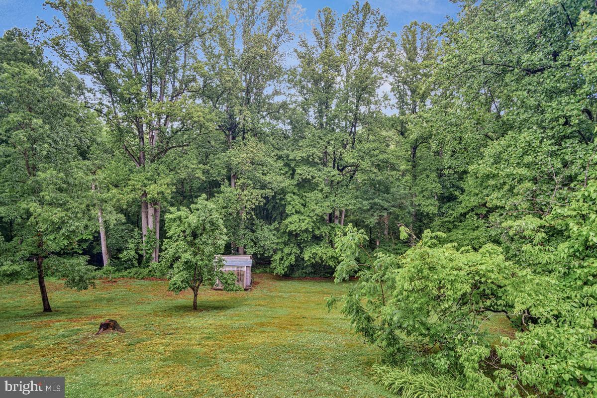 2551 Redbud Lane photo 20