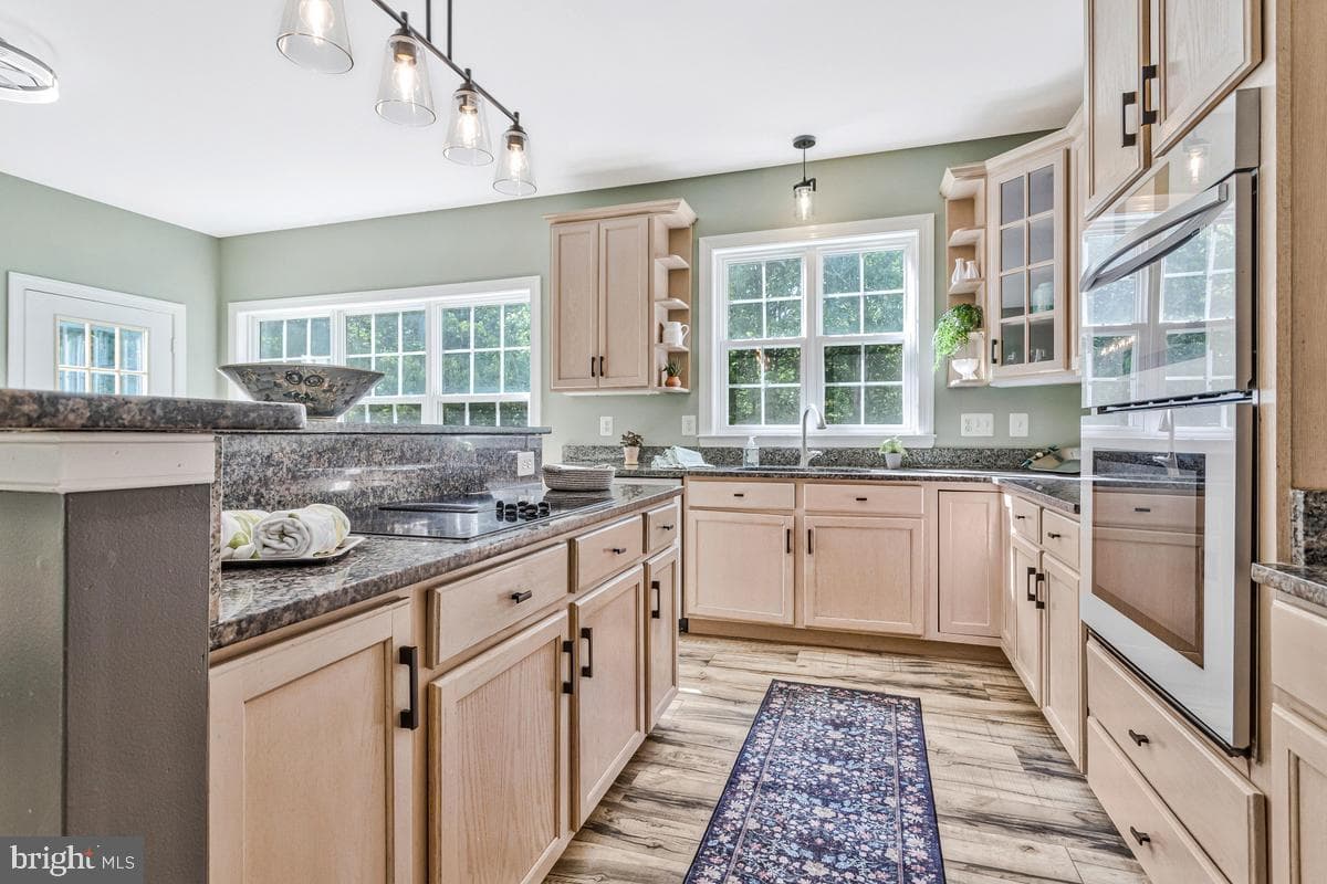 245 Persimmon Hills Court photo 19