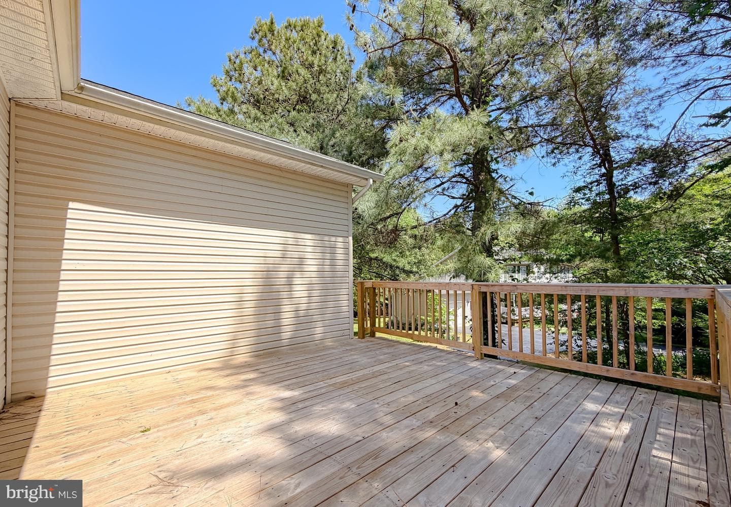 3815 Catesby Oak Court photo 54
