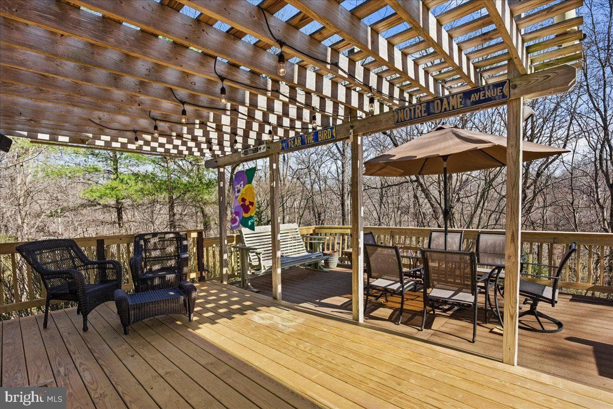 300 Owings Hill Court photo 18