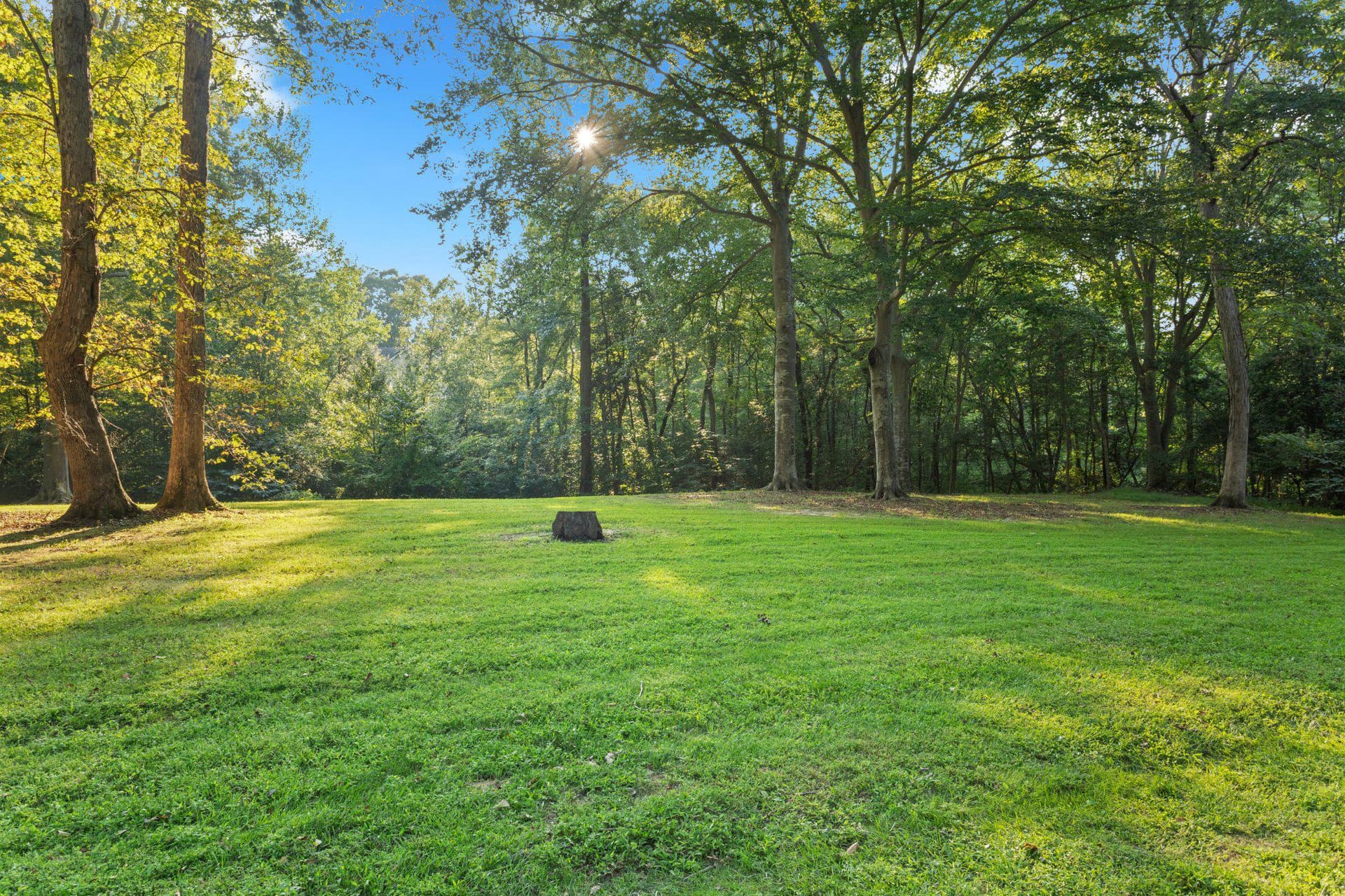 600 Pasture Place photo 13