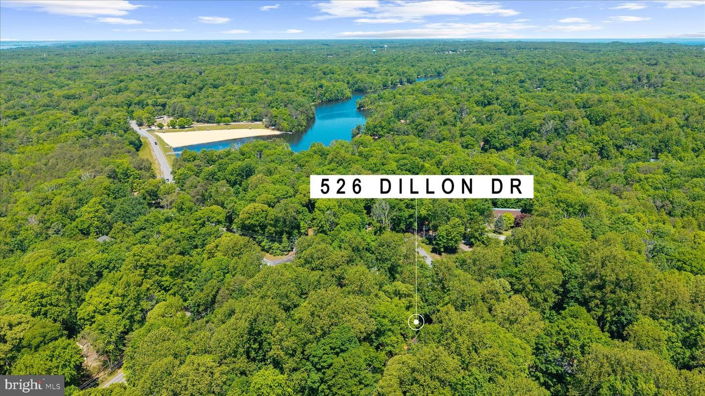 526 Dillon Drive photo 66