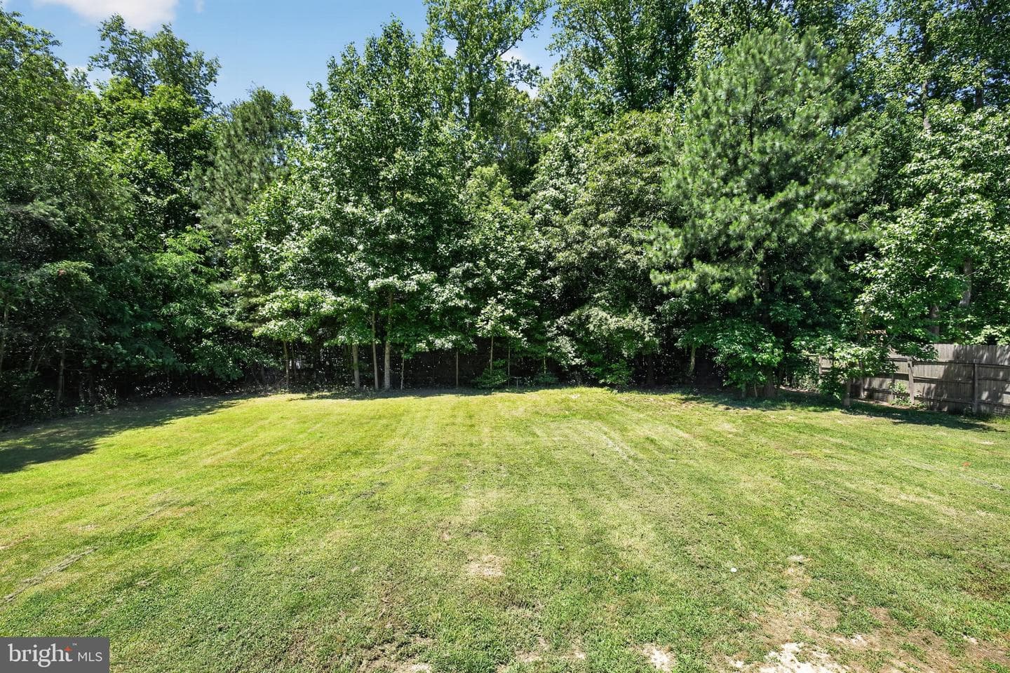 1820 Striped Bass Court photo 11