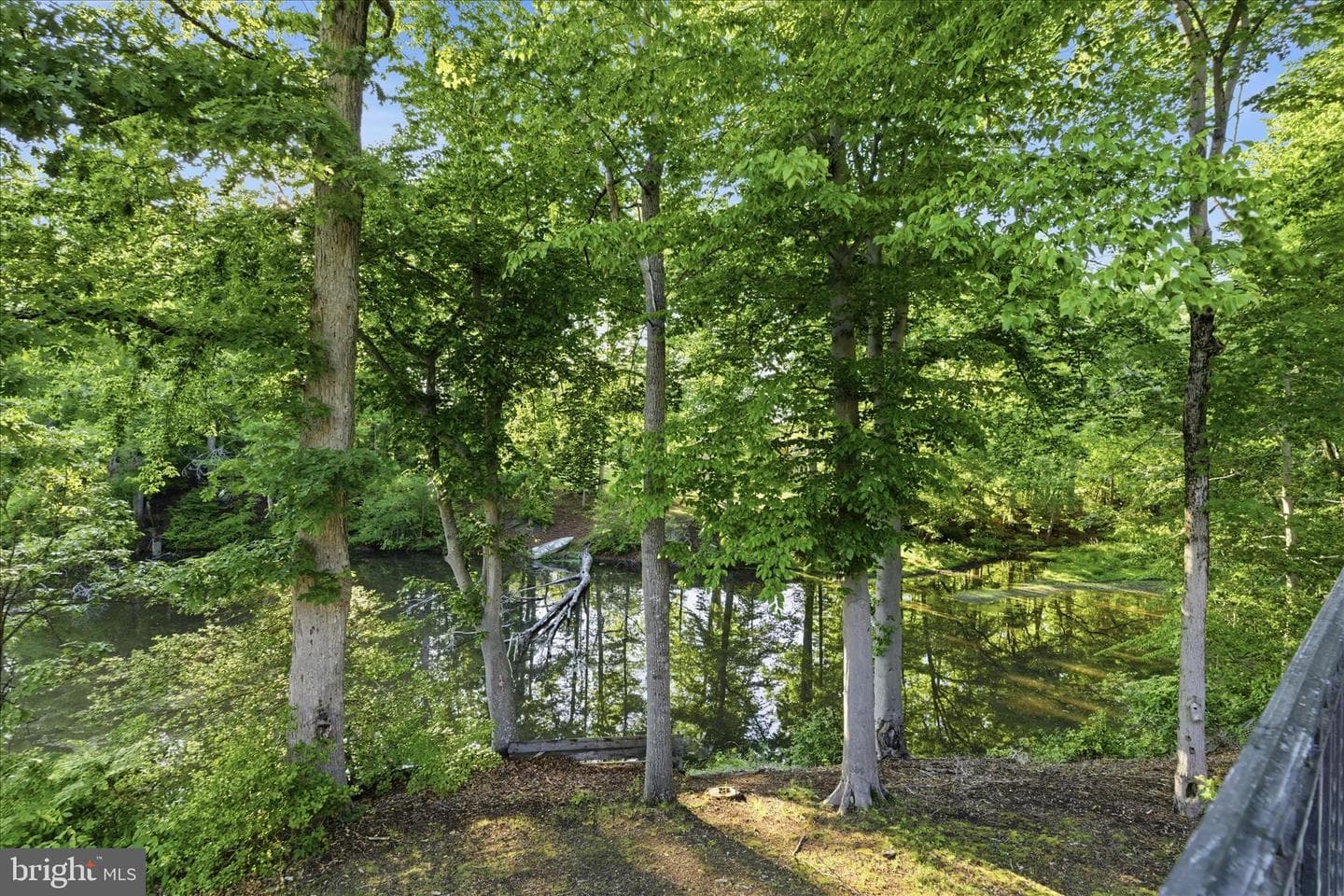 3901 Lakeside Ct photo 88