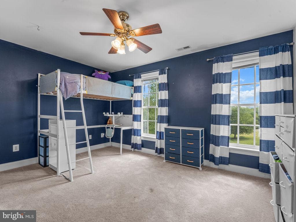 9236 Blue Sky Court photo 8