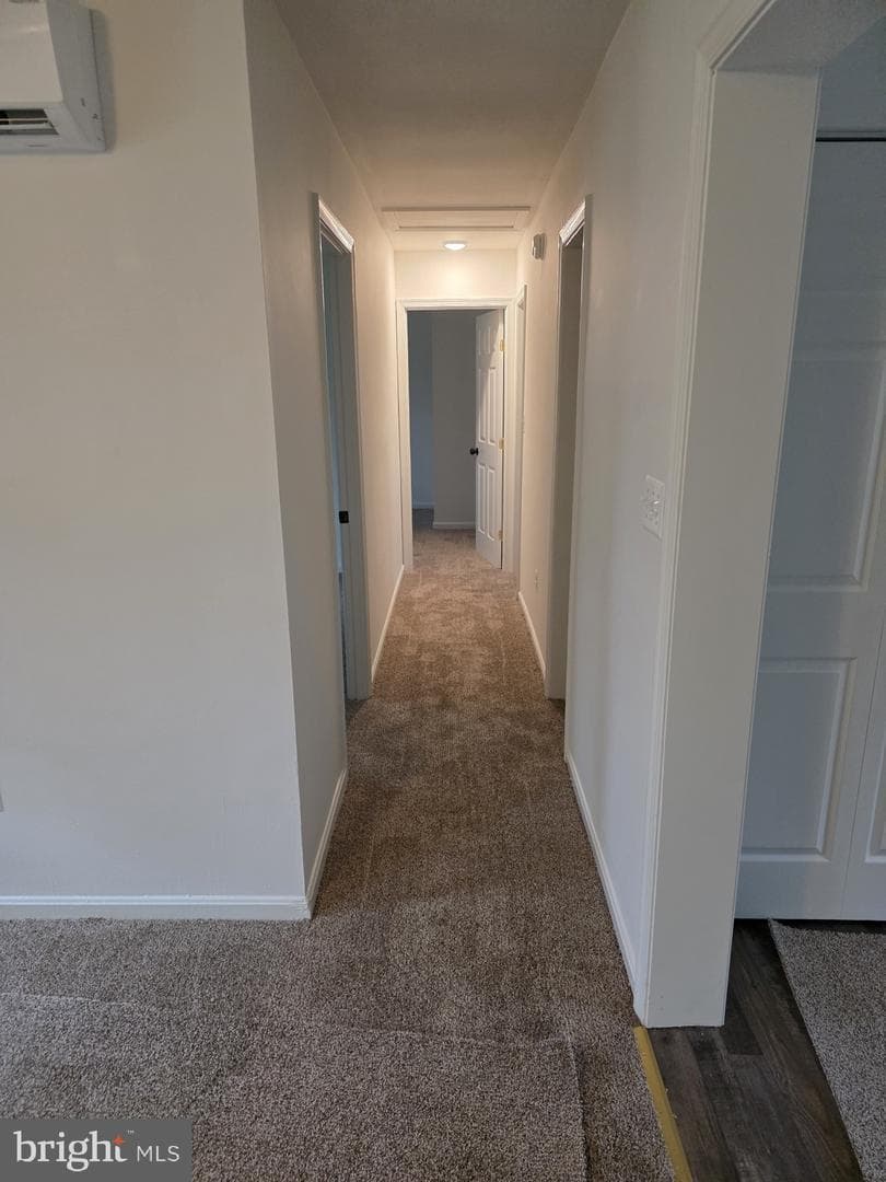 3711 Cassell Boulevard photo 6