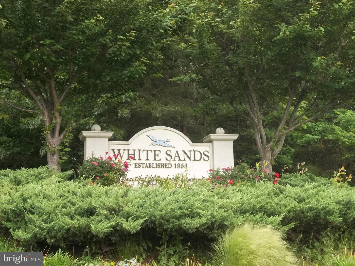 561 White Sands Drive photo 31