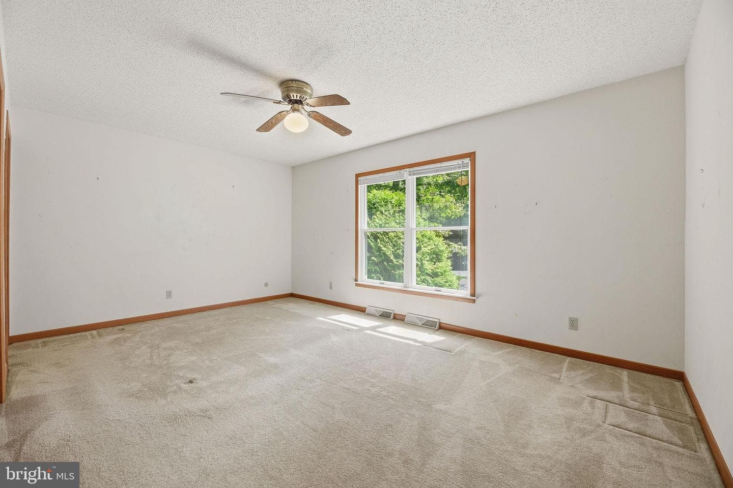 491 Redwood Lane photo 22