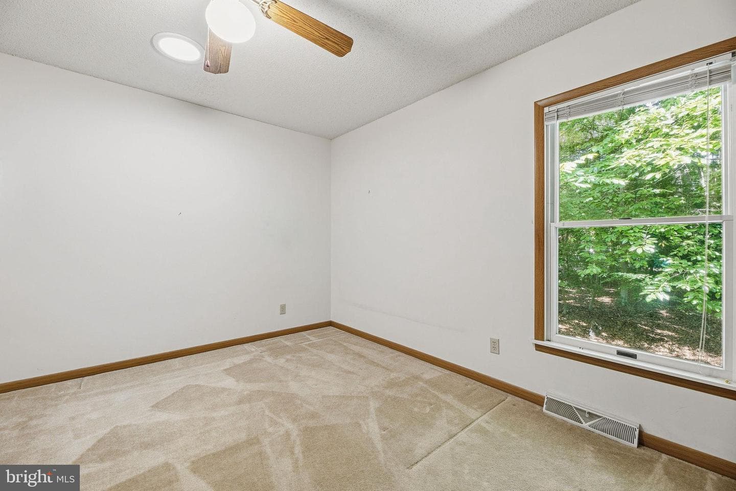 491 Redwood Lane photo 29