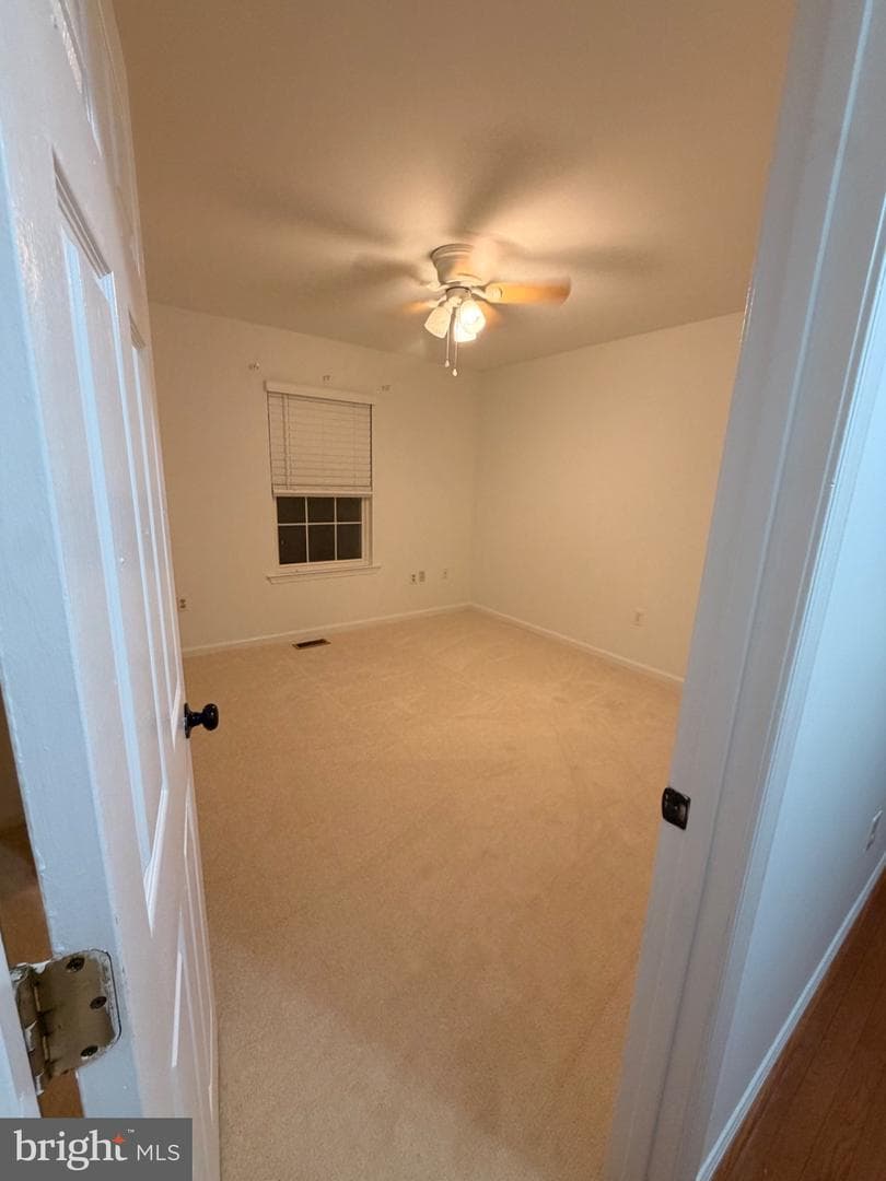 420 Park Terrace #3 photo 6