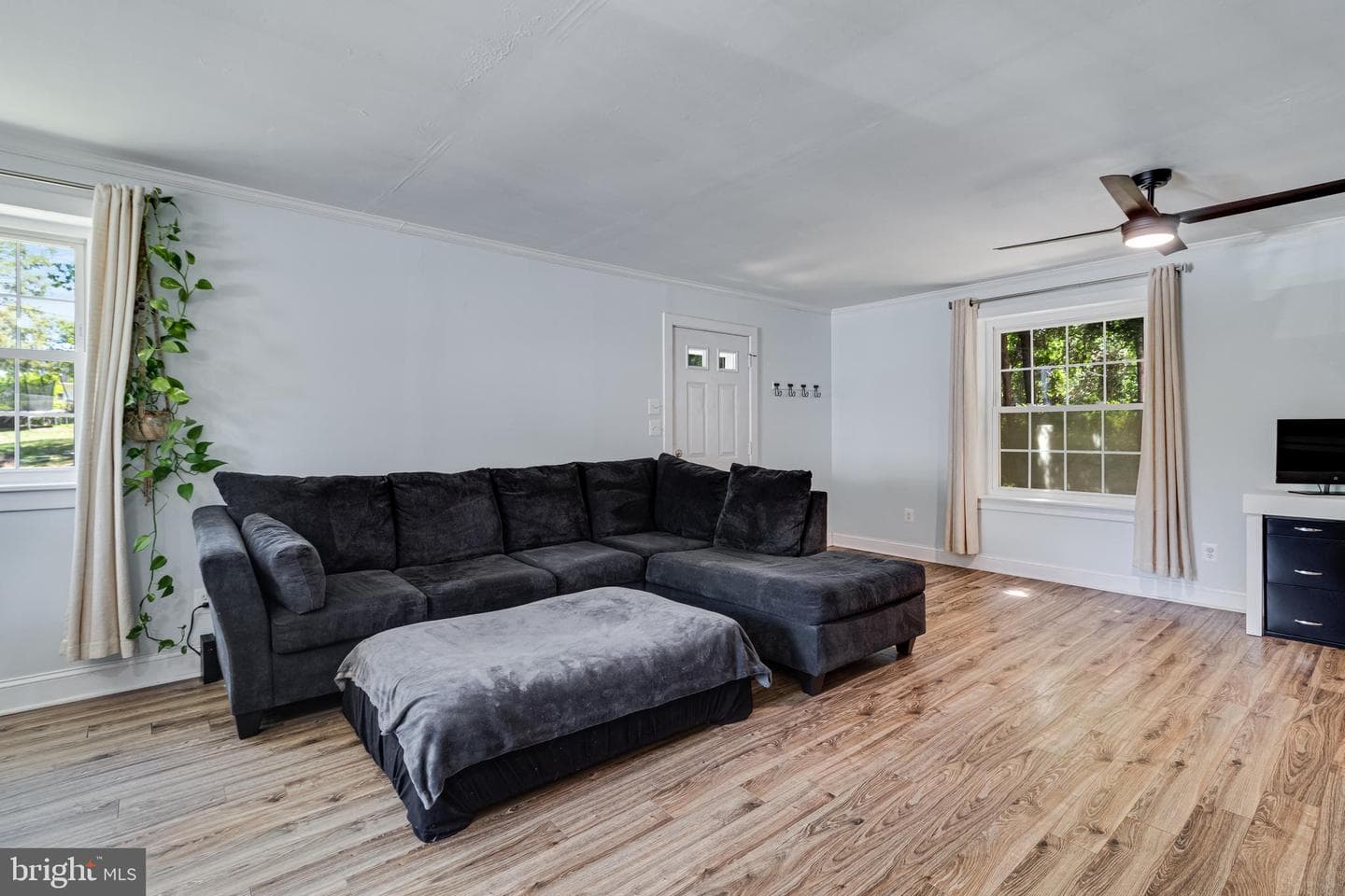 1506 Dogwood Road photo 5