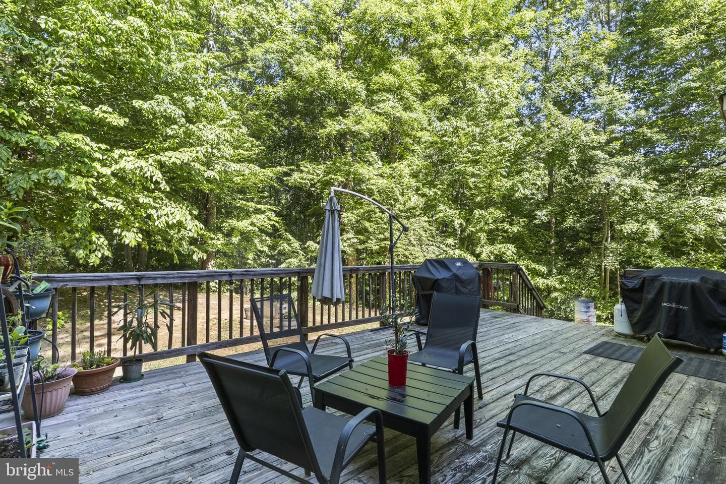 2037 Baythorne Road photo 6