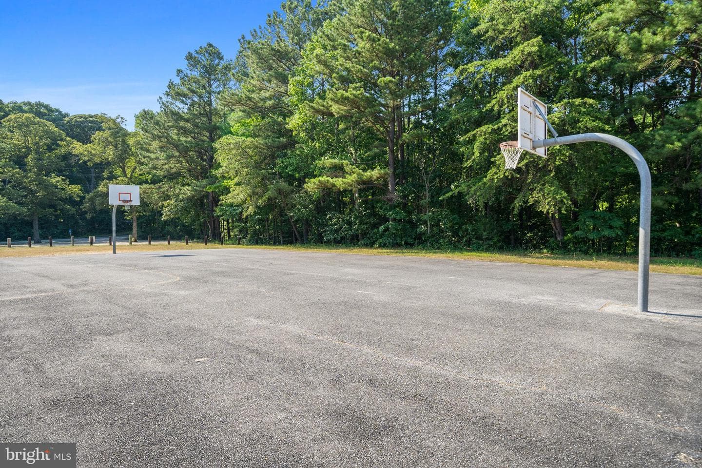 12346 Algonquin Trail photo 61