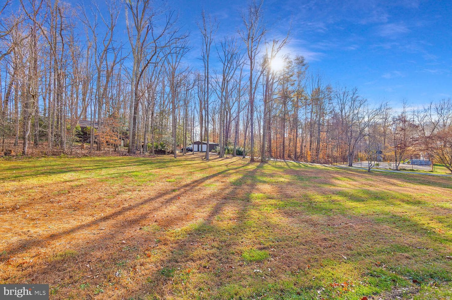 111 Autumn Court photo 42