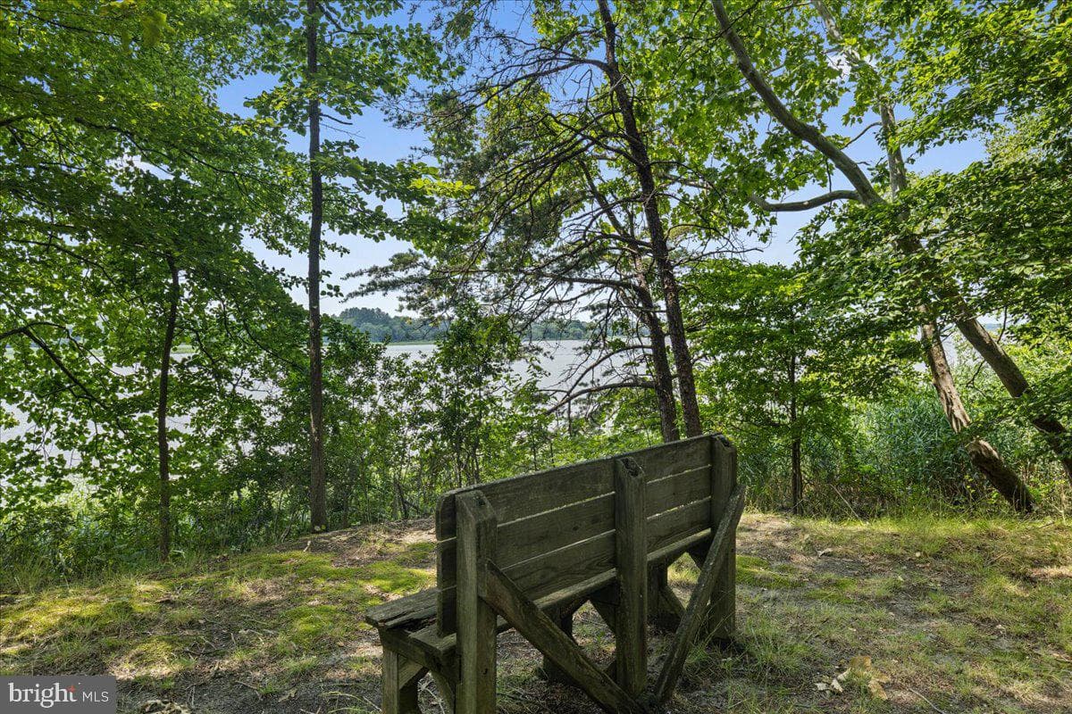10310 Wild Goose Way photo 48