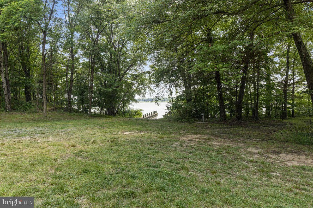 10310 Wild Goose Way photo 49