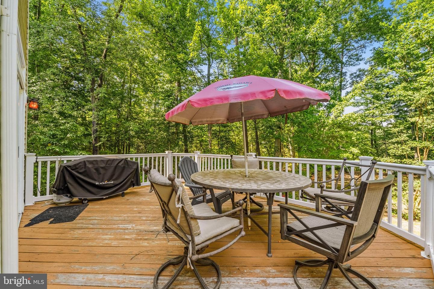 13536 Osprey Lane photo 52