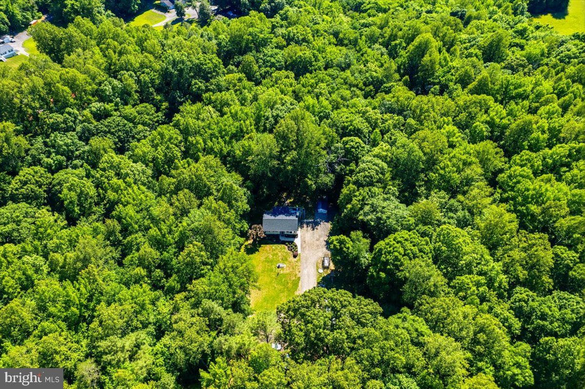 1610 Avery Road photo 4