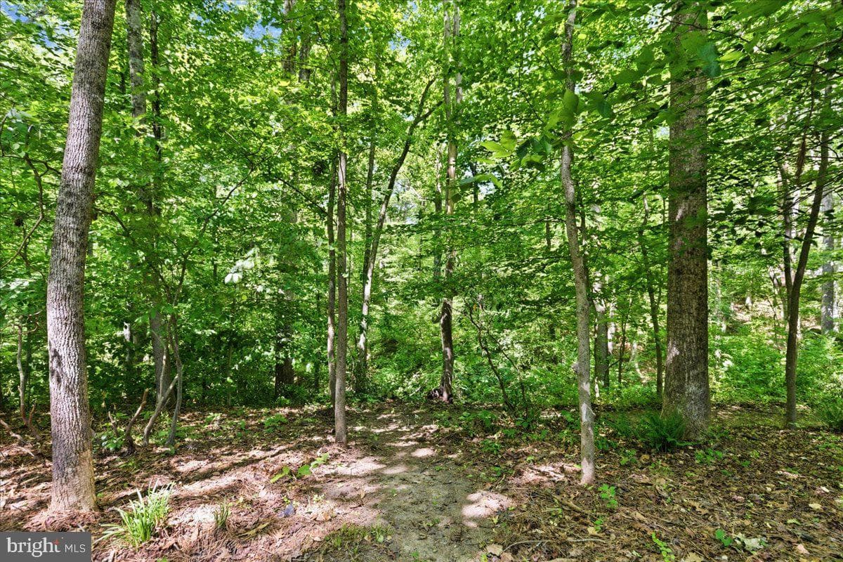2424 Springbrook Court photo 99