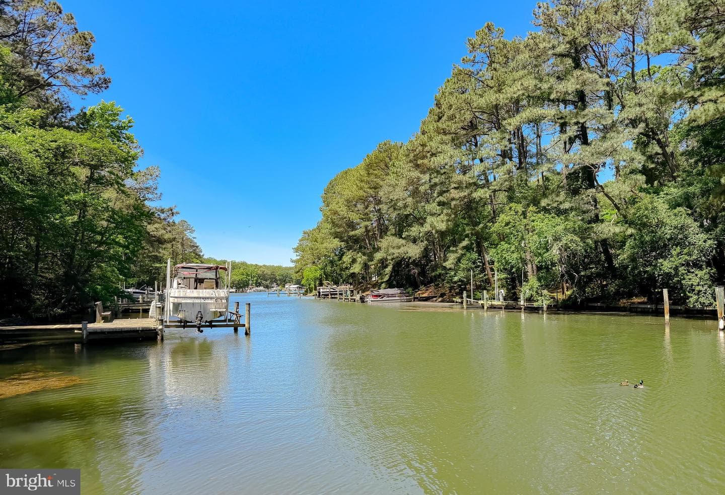 272 Elkins Lane photo 66
