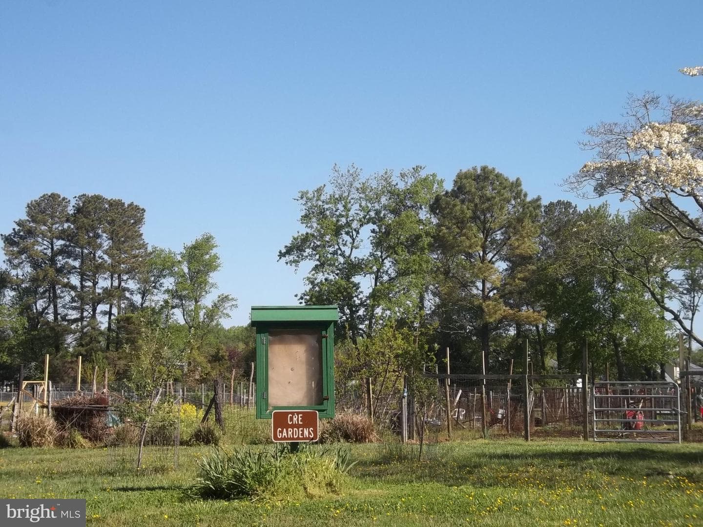 12695 Boundary Drive photo 31