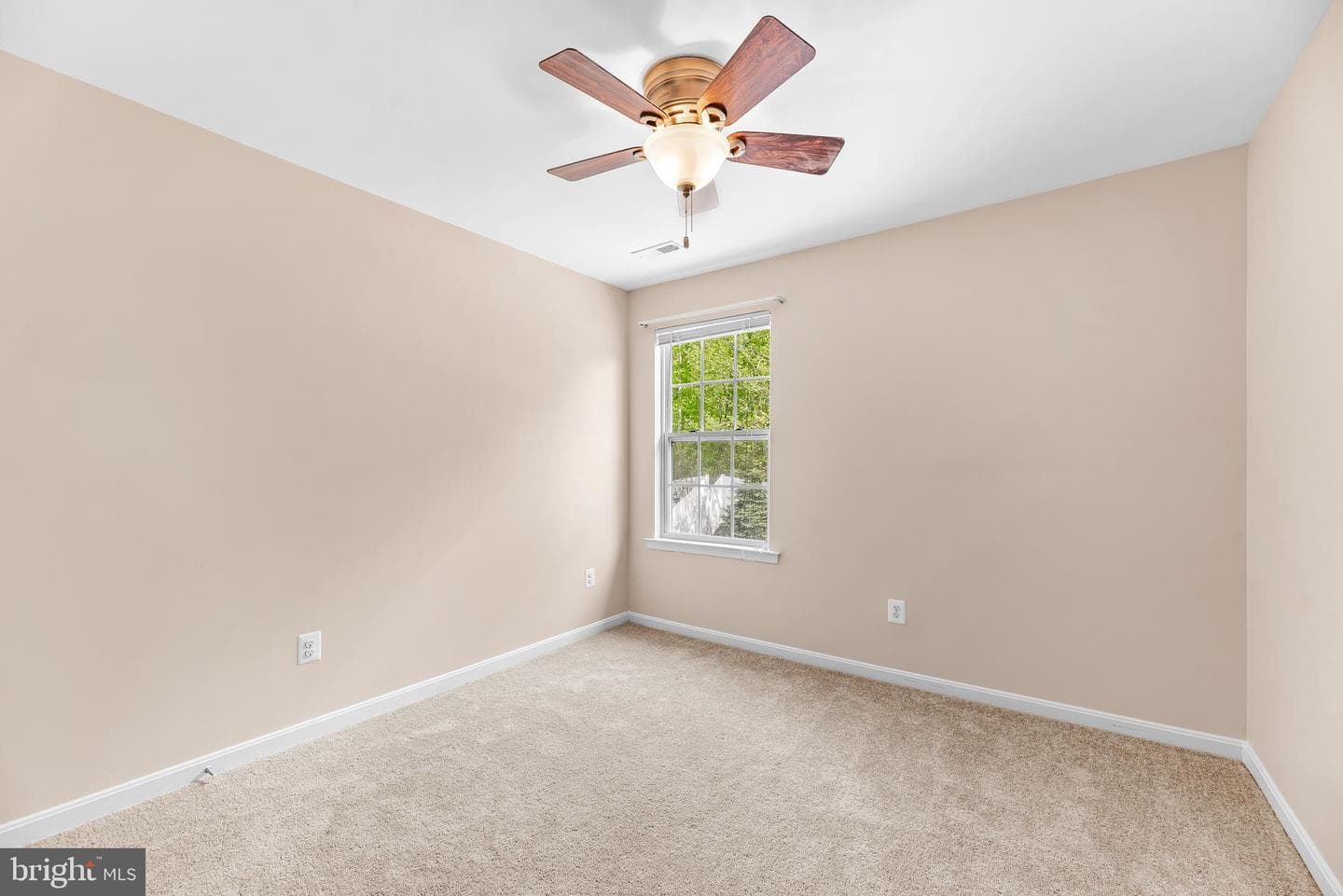 252 Rimfire Way photo 23