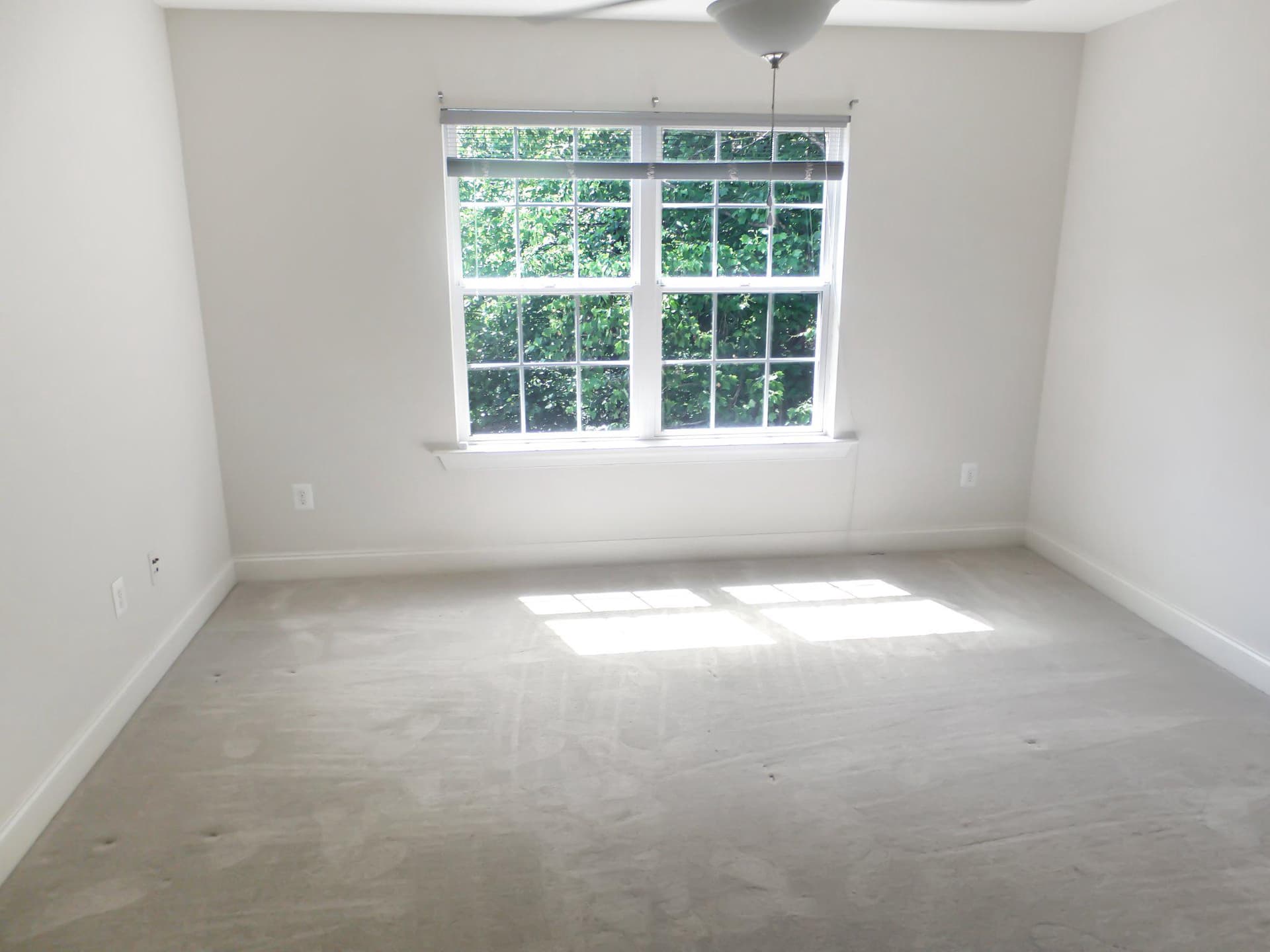 3384 Cannoncade Court photo 26