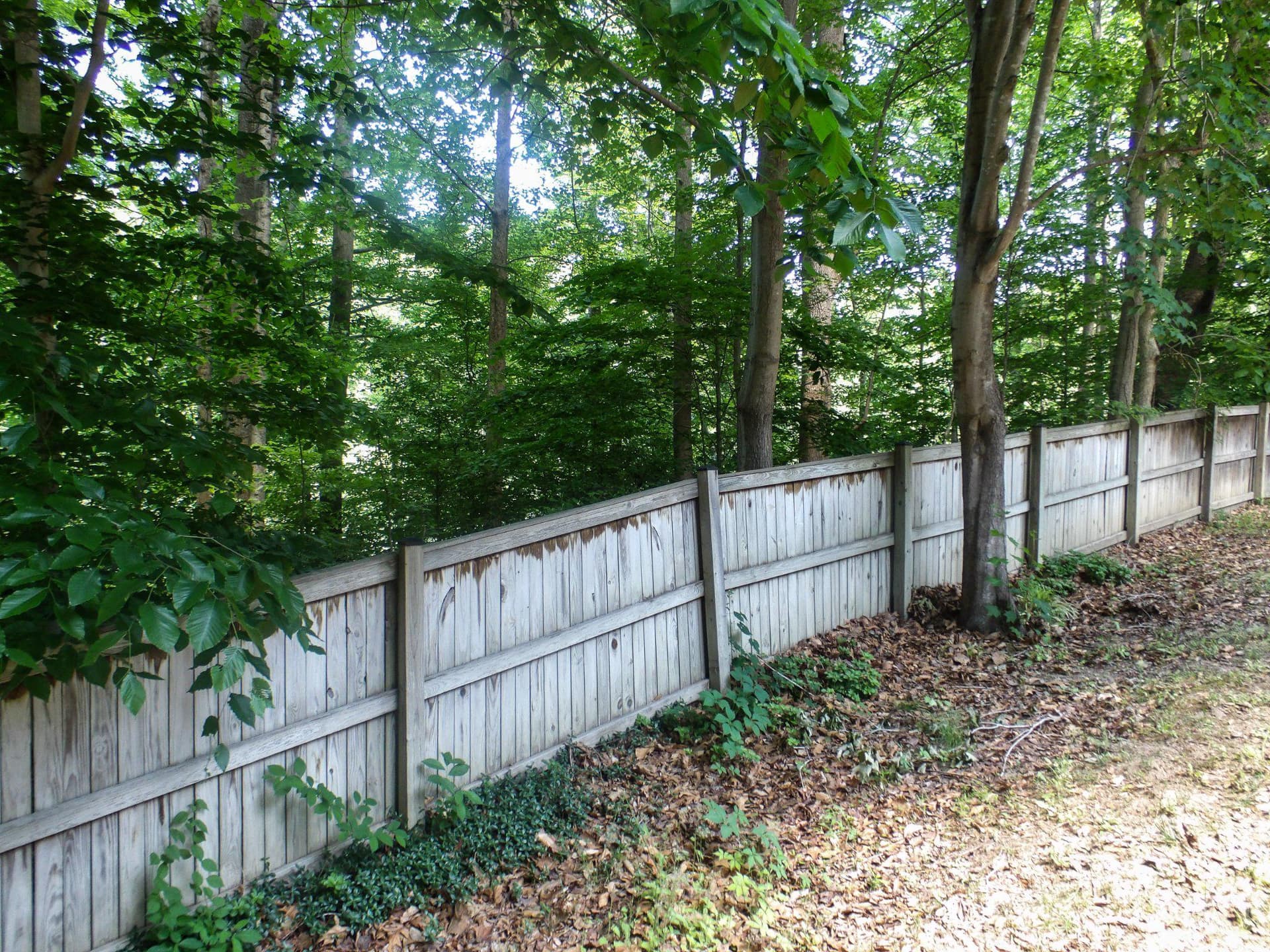 3384 Cannoncade Court photo 38