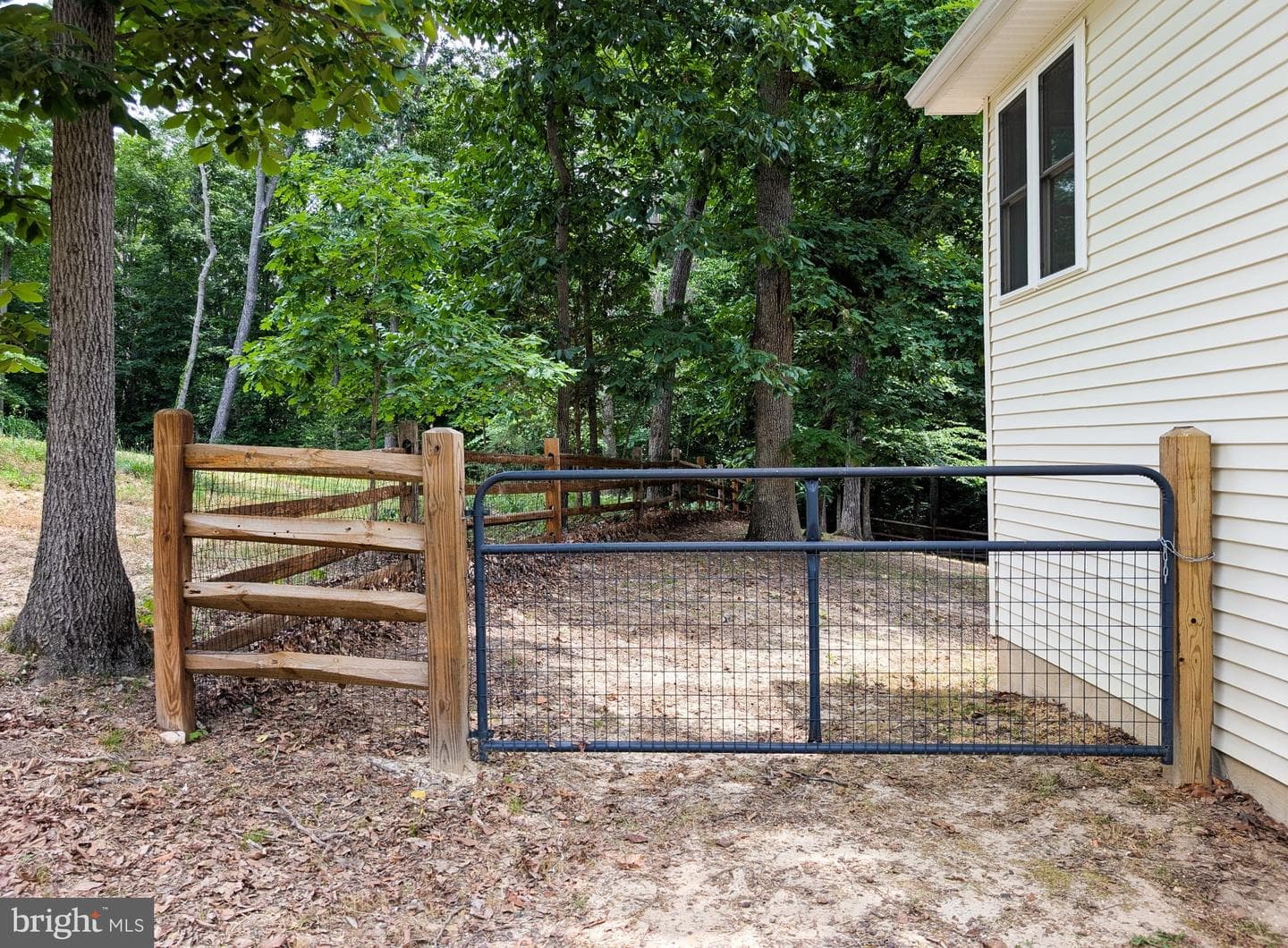 11428 Stirrup Lane photo 4