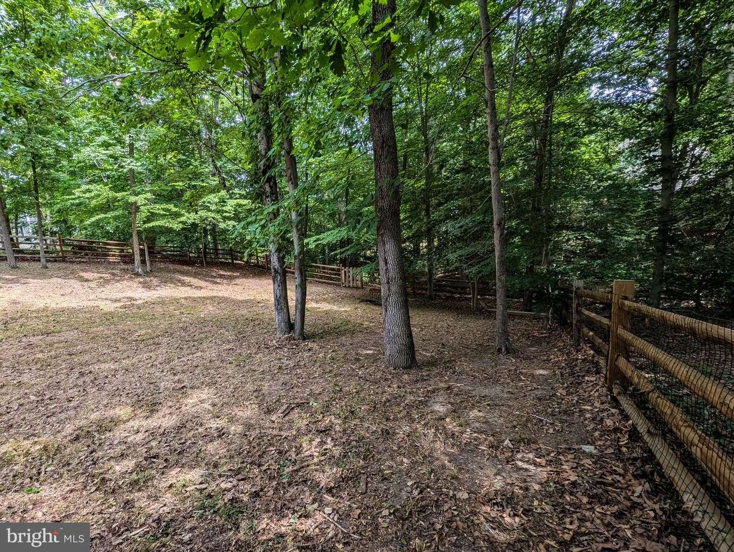 11428 Stirrup Lane photo 6
