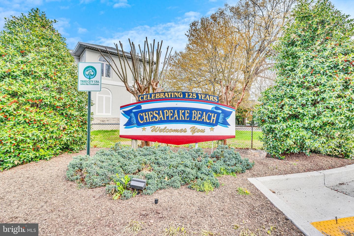 8271 Sycamore Terrace photo 62