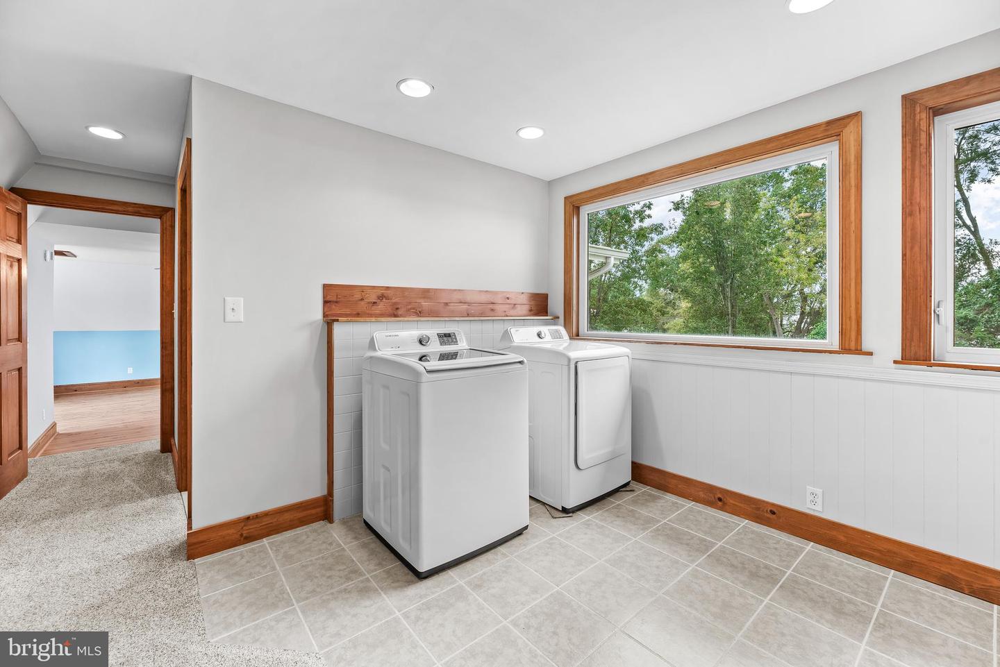 3017 Abington Manor Drive photo 49