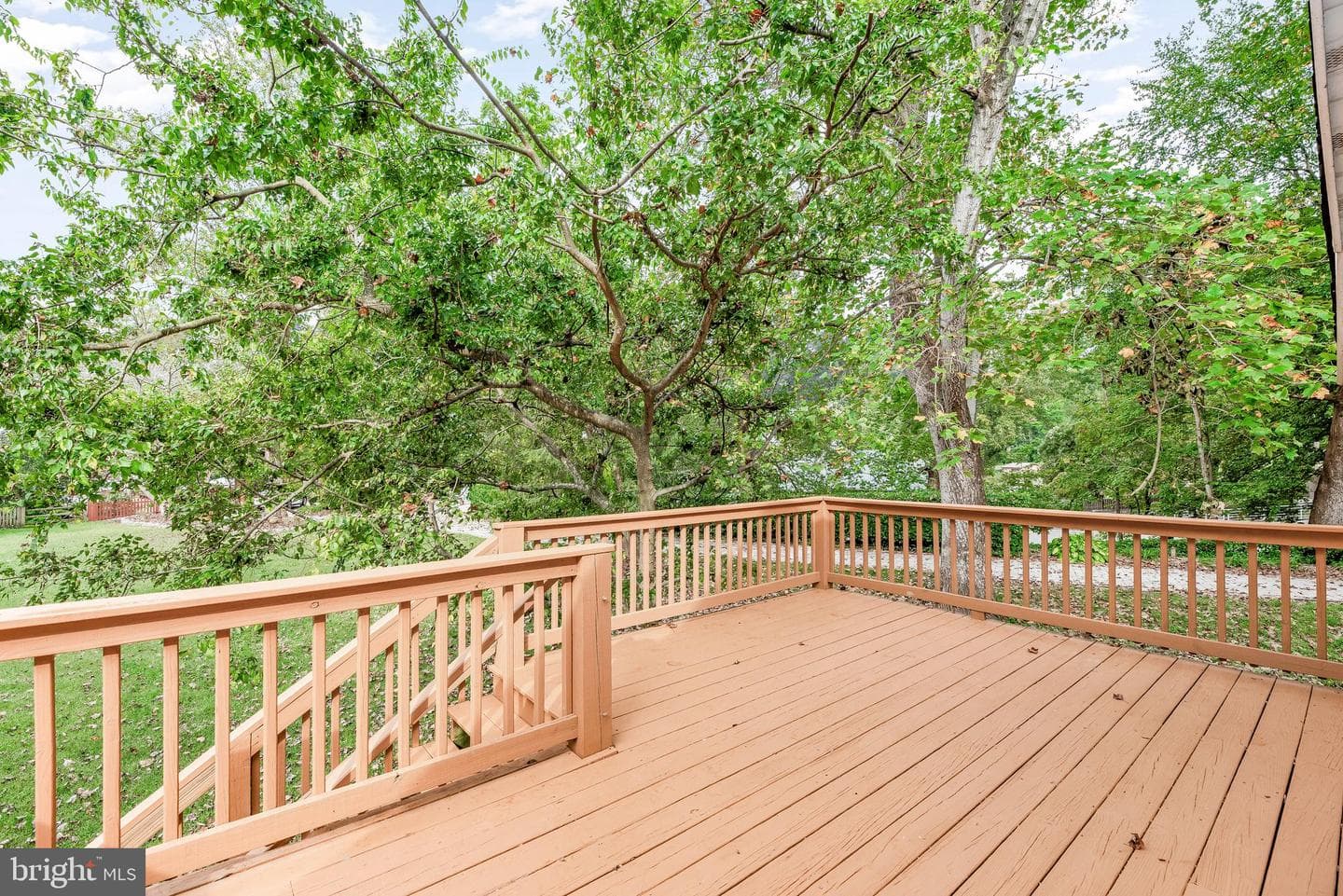 3017 Abington Manor Drive photo 89