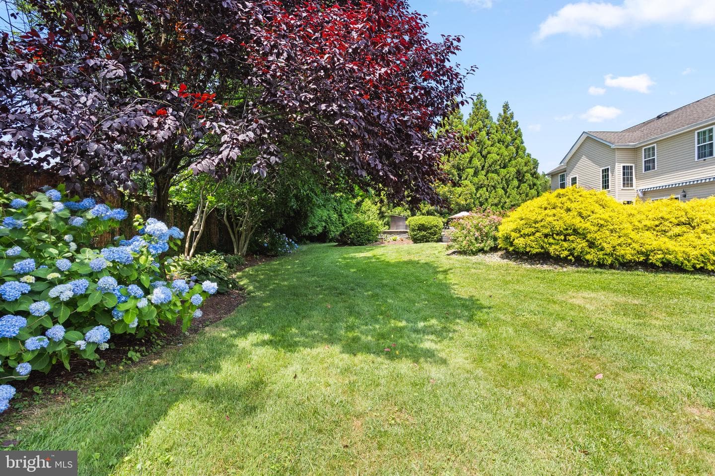 3325 Cox Road photo 110