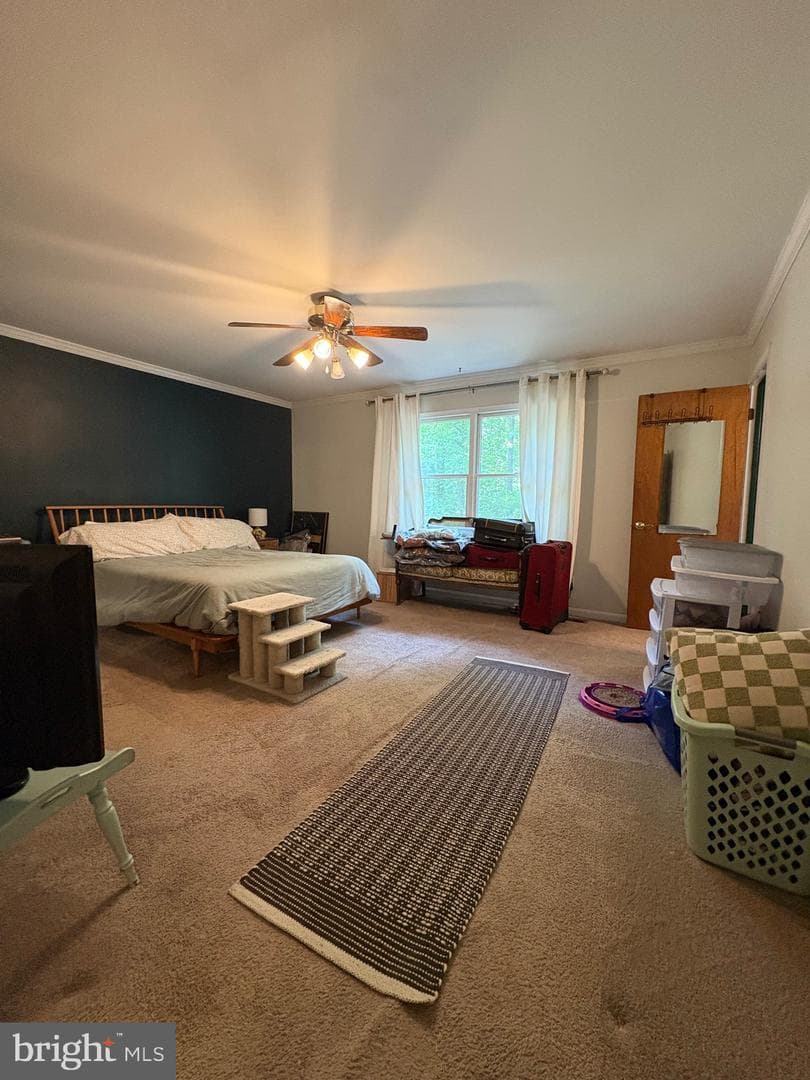 5885 Valley photo 20