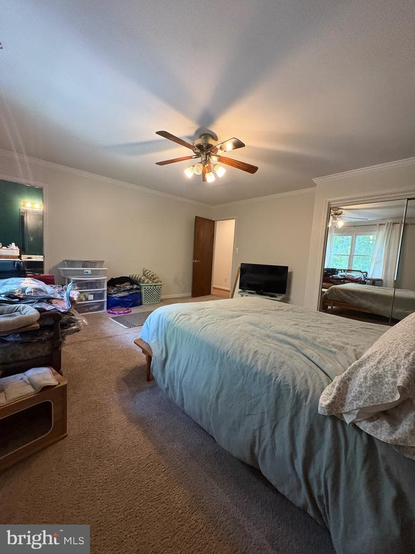 5885 Valley photo 22