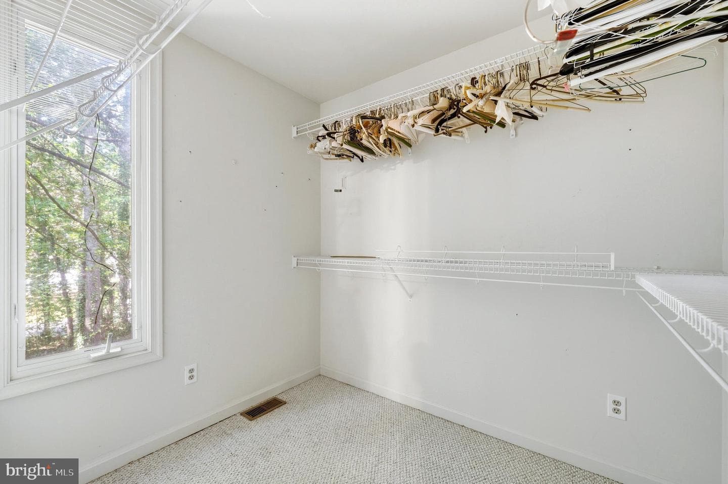 13181 River View Drive photo 21