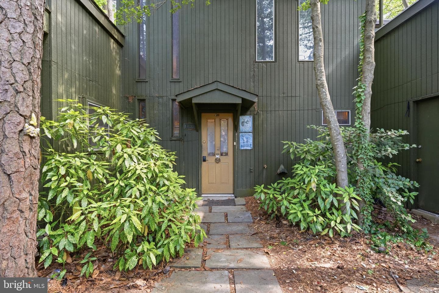13181 River View Drive photo 4
