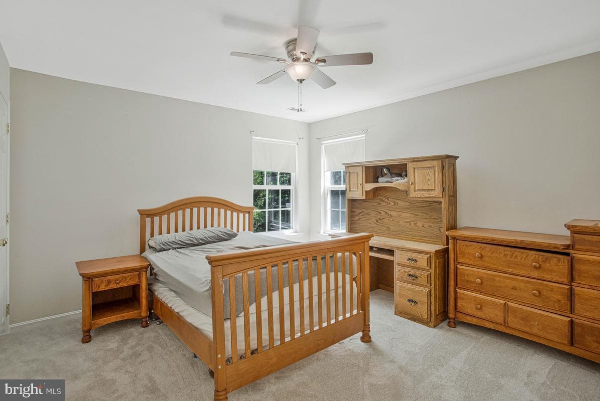 1000 Tiffany Park photo 26
