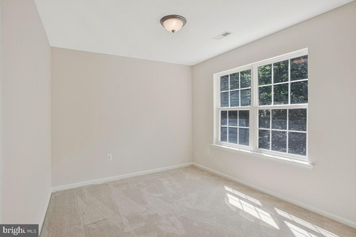 1000 Tiffany Park photo 35