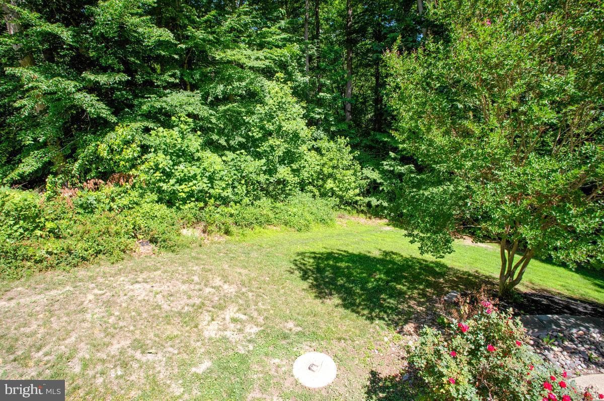 1000 Tiffany Park photo 57