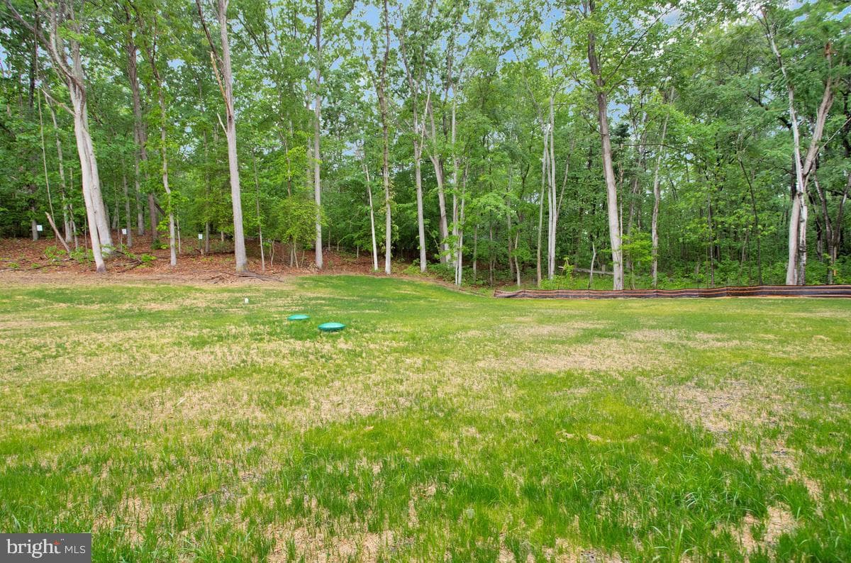 101 Kinsey Drive photo 37
