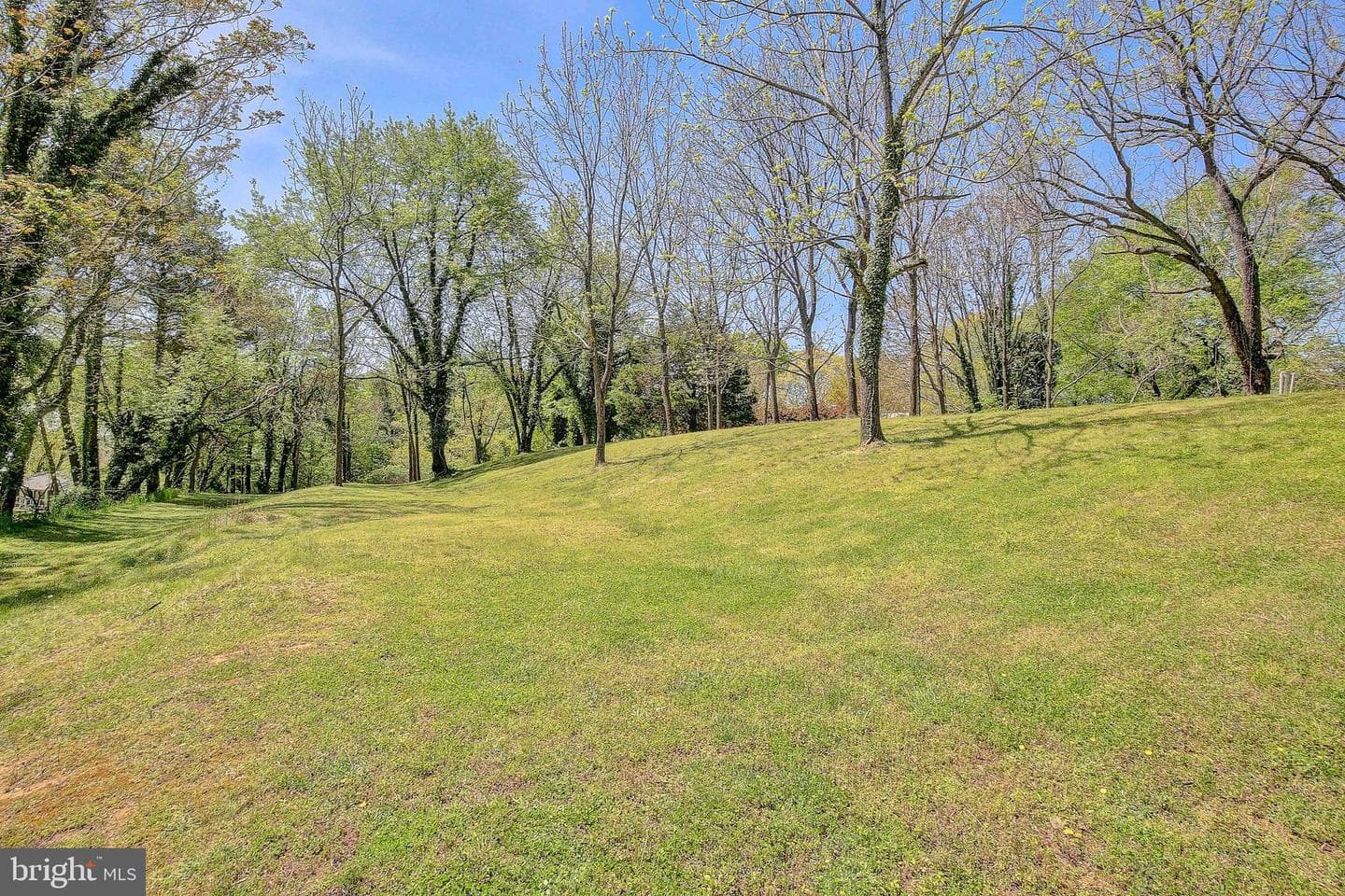 1040 White Sands Drive photo 106