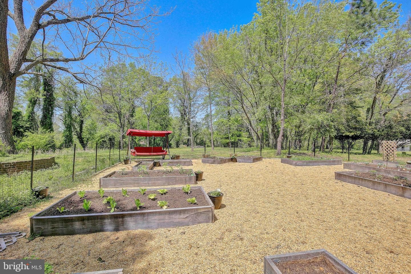 1040 White Sands Drive photo 116