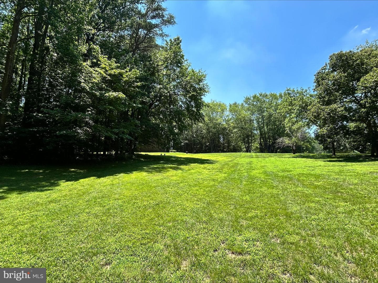 1531 Sunrise Court photo 35