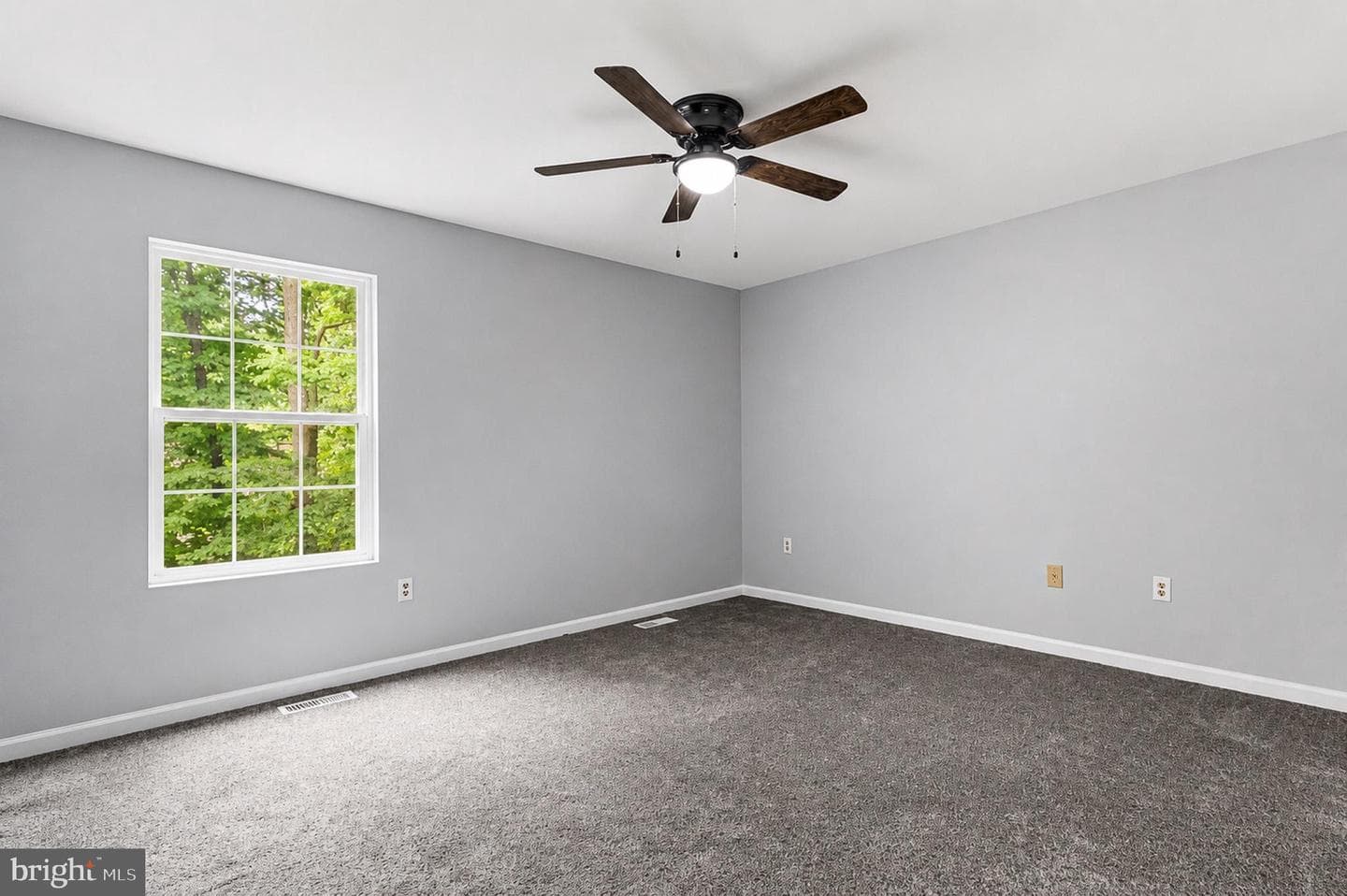 373 Cactus Trail photo 19