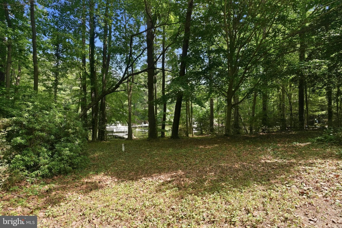 262 Elkins Lane photo 41