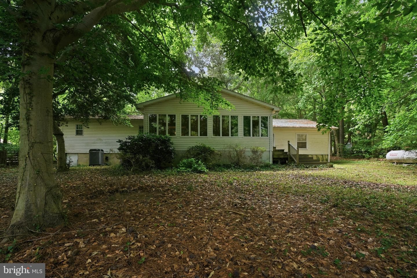 262 Elkins Lane photo 46