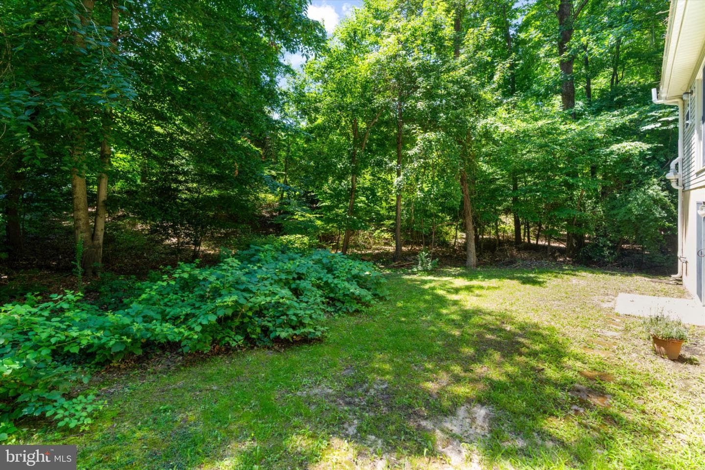 11500 Big Sandy Run Road photo 40