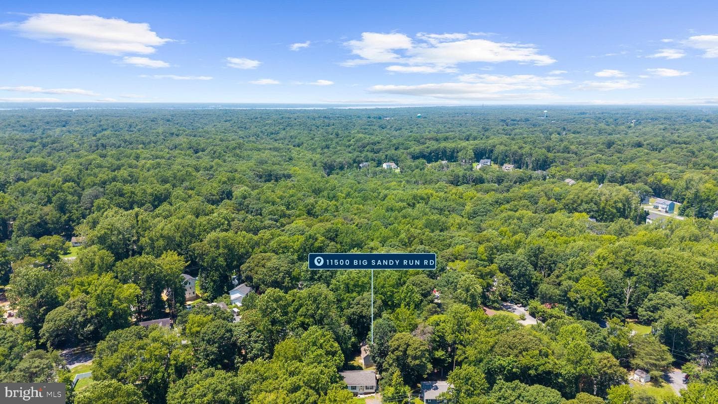 11500 Big Sandy Run Road photo 52